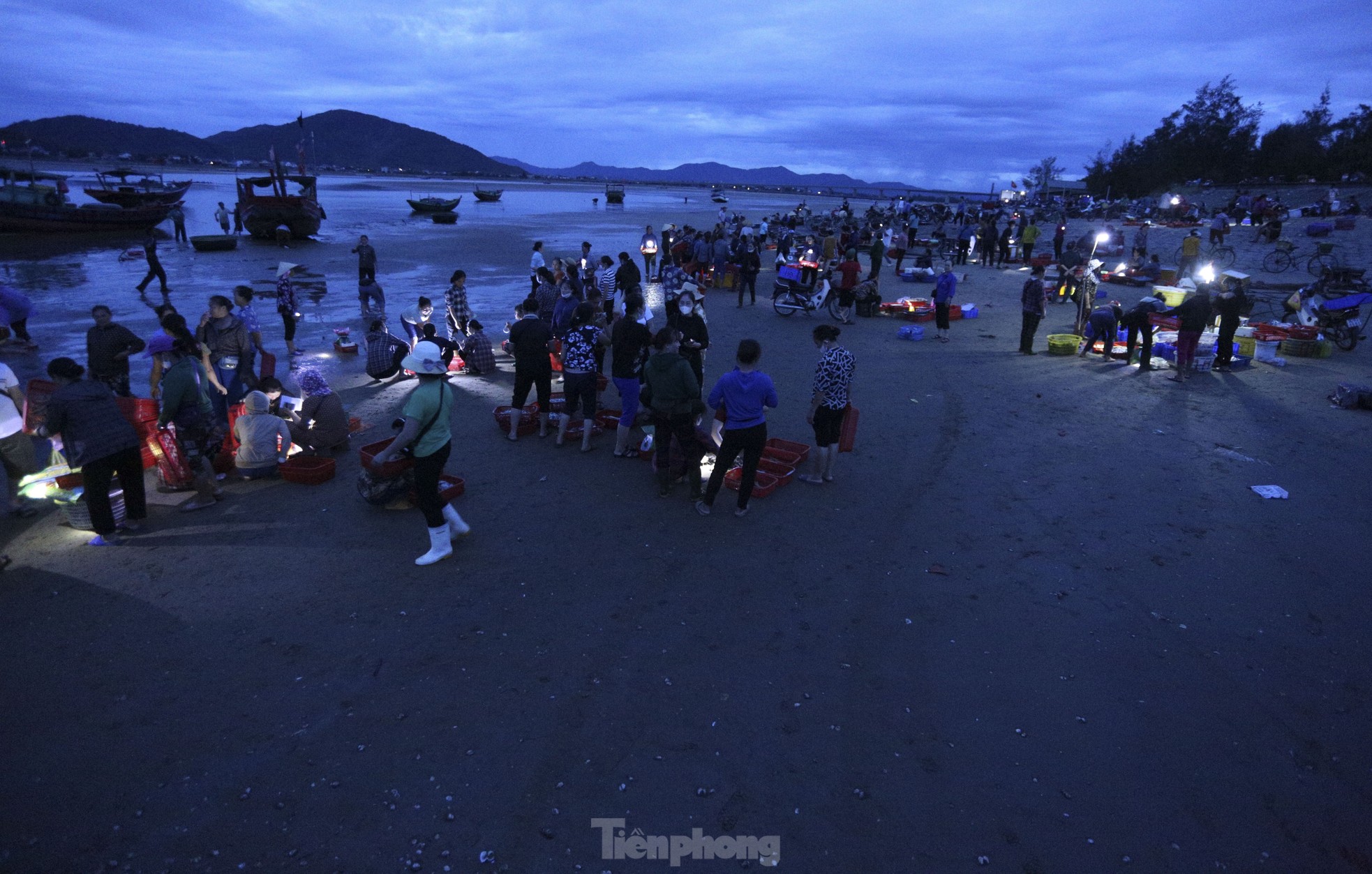 Soi đèn đi chợ hải sản đặc biệt ở Hà Tĩnh lúc tờ mờ sáng - Ảnh 2.