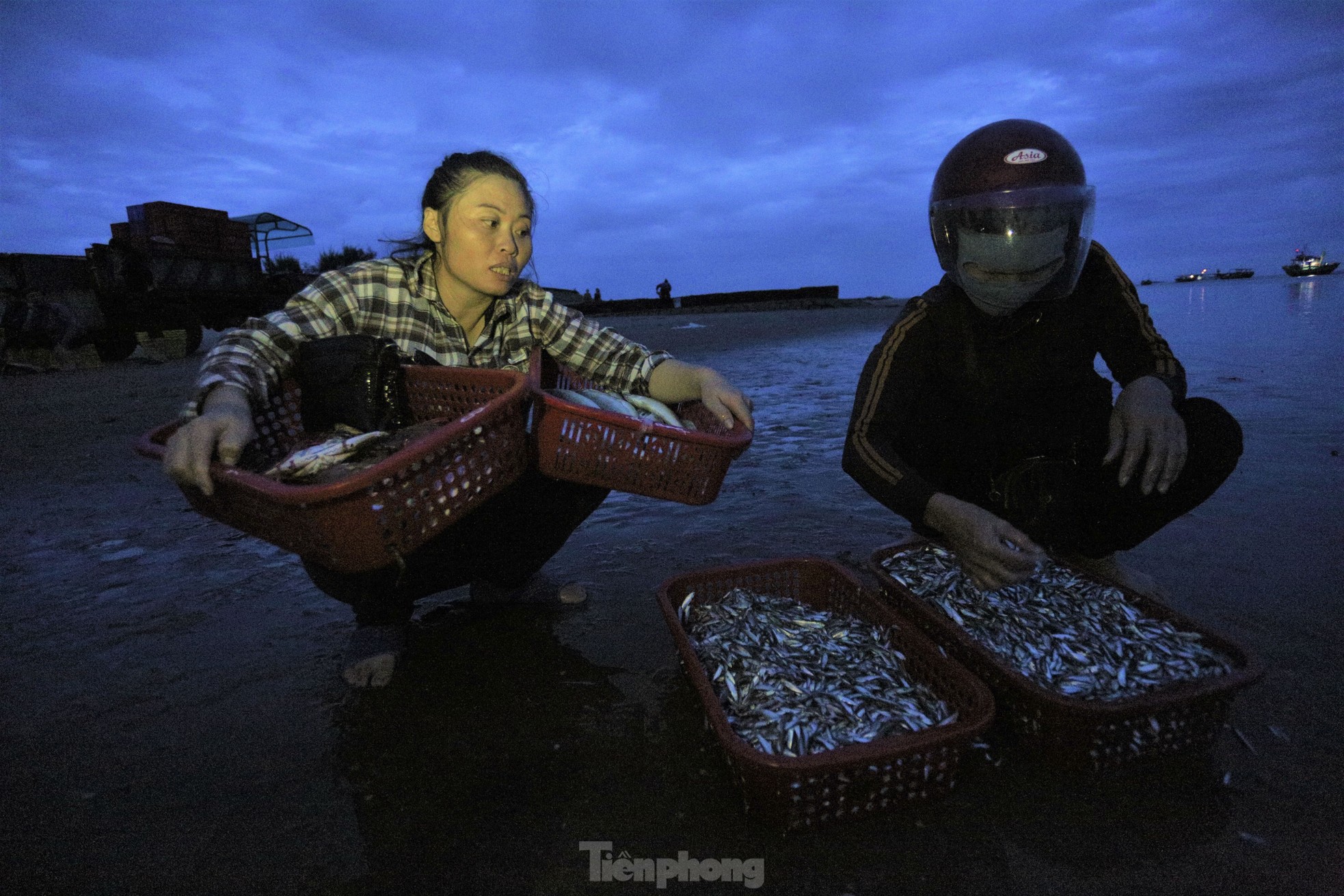 Soi đèn đi chợ hải sản đặc biệt ở Hà Tĩnh lúc tờ mờ sáng - Ảnh 15.