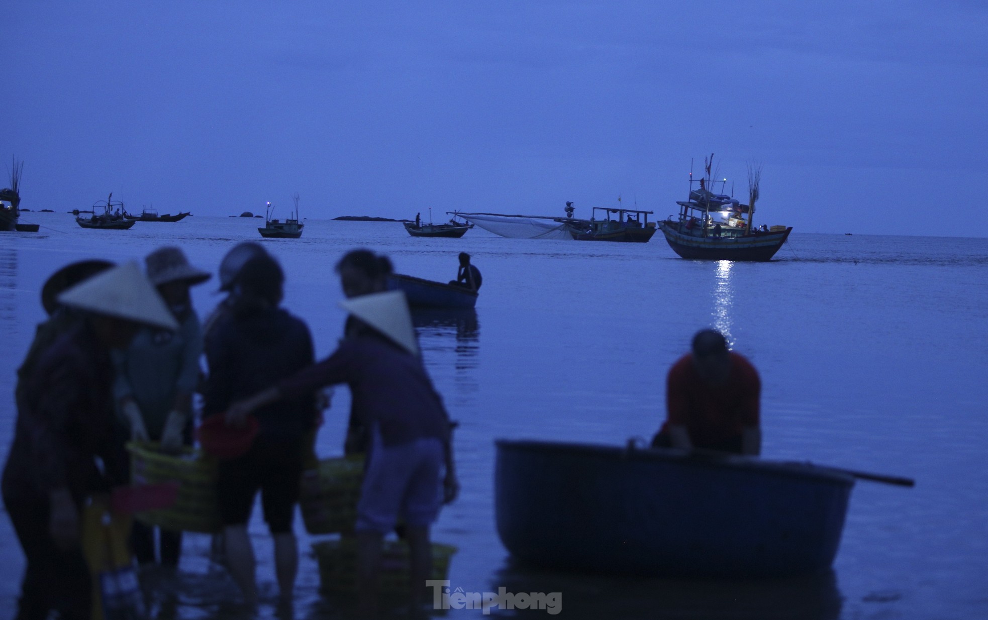 Soi đèn đi chợ hải sản đặc biệt ở Hà Tĩnh lúc tờ mờ sáng - Ảnh 16.