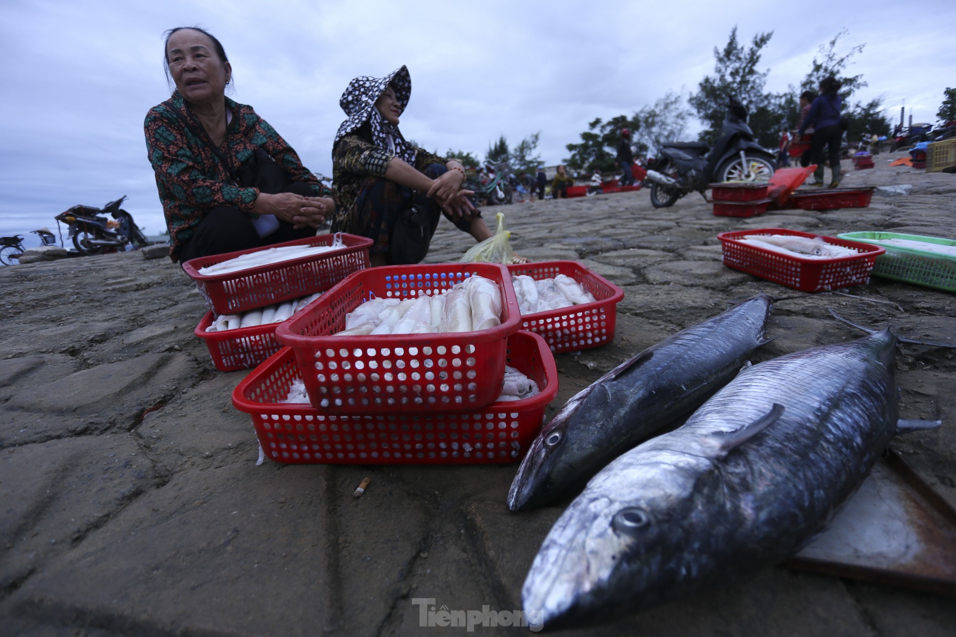 Soi đèn đi chợ hải sản đặc biệt ở Hà Tĩnh lúc tờ mờ sáng - Ảnh 18.