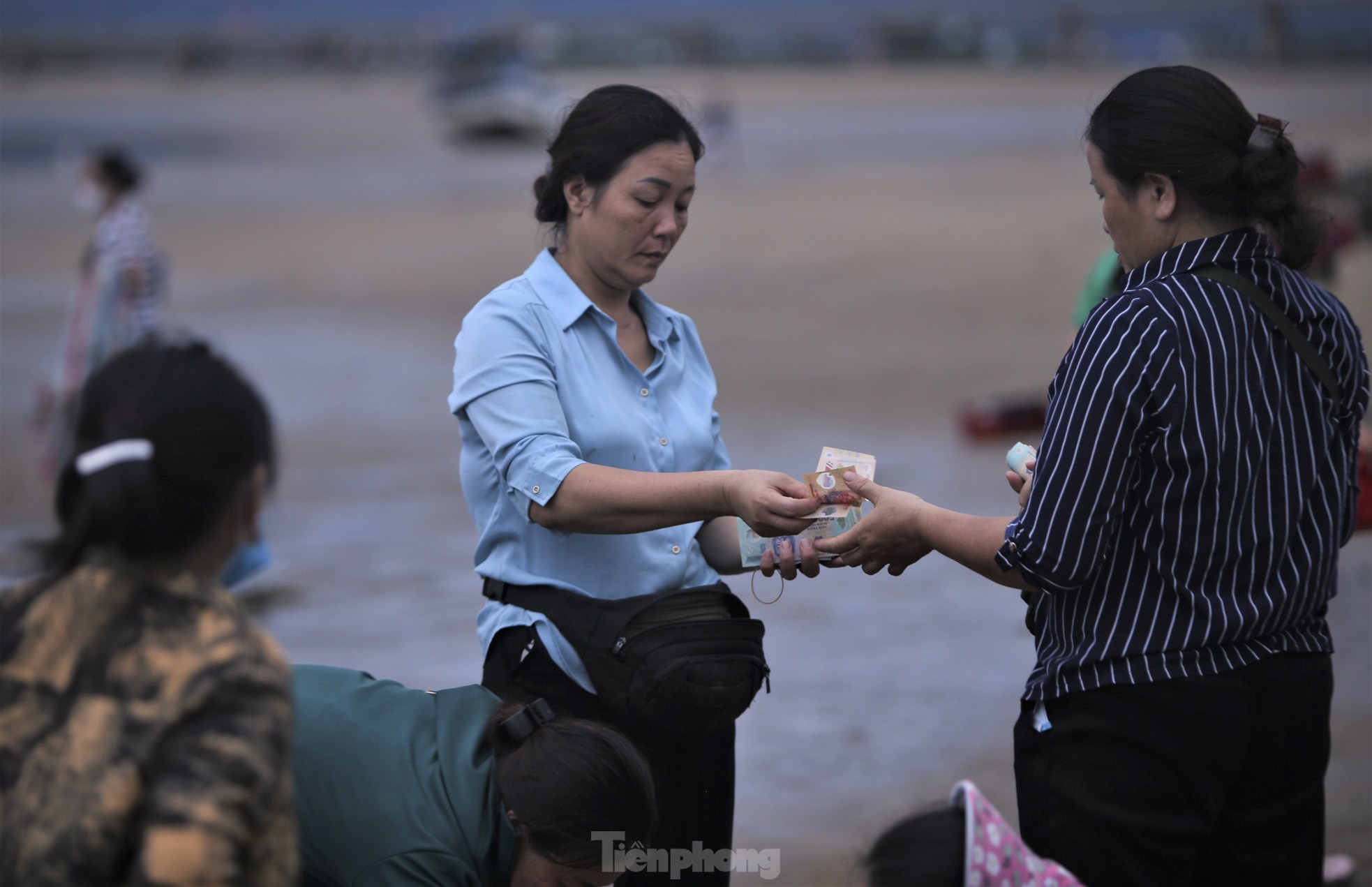 Soi đèn đi chợ hải sản đặc biệt ở Hà Tĩnh lúc tờ mờ sáng - Ảnh 19.