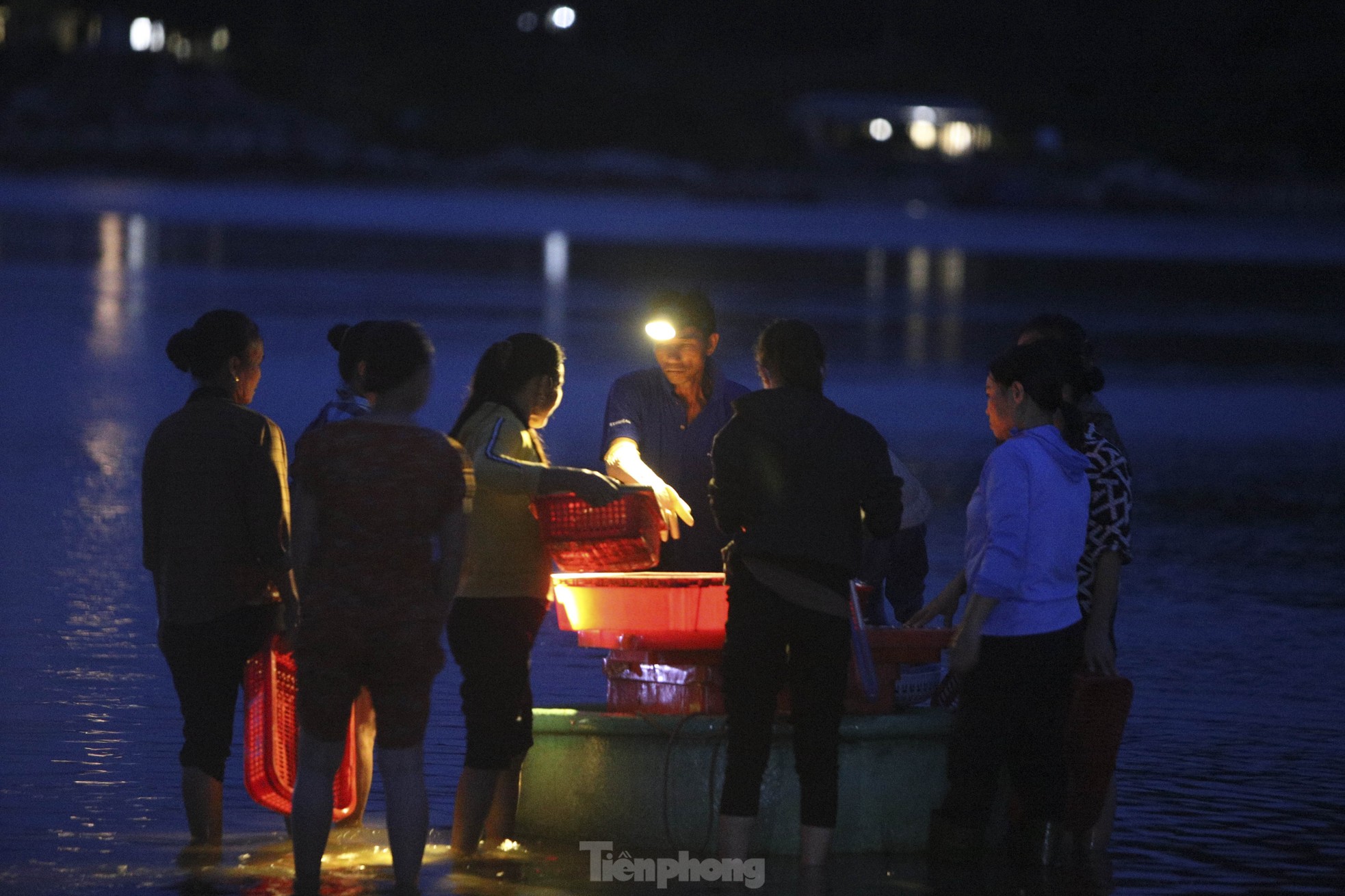 Soi đèn đi chợ hải sản đặc biệt ở Hà Tĩnh lúc tờ mờ sáng - Ảnh 6.