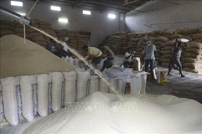 Giao nhận hàng đình trệ sau khi Ấn Độ áp thuế xuất khẩu 20% đối với gạo đồ - Ảnh 1.