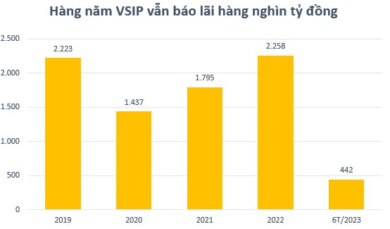 Liên doanh Khu công nghiệp Việt Nam - Singapore (VSIP) kinh doanh ra sao trong nửa đầu năm 2023? - Ảnh 2.
