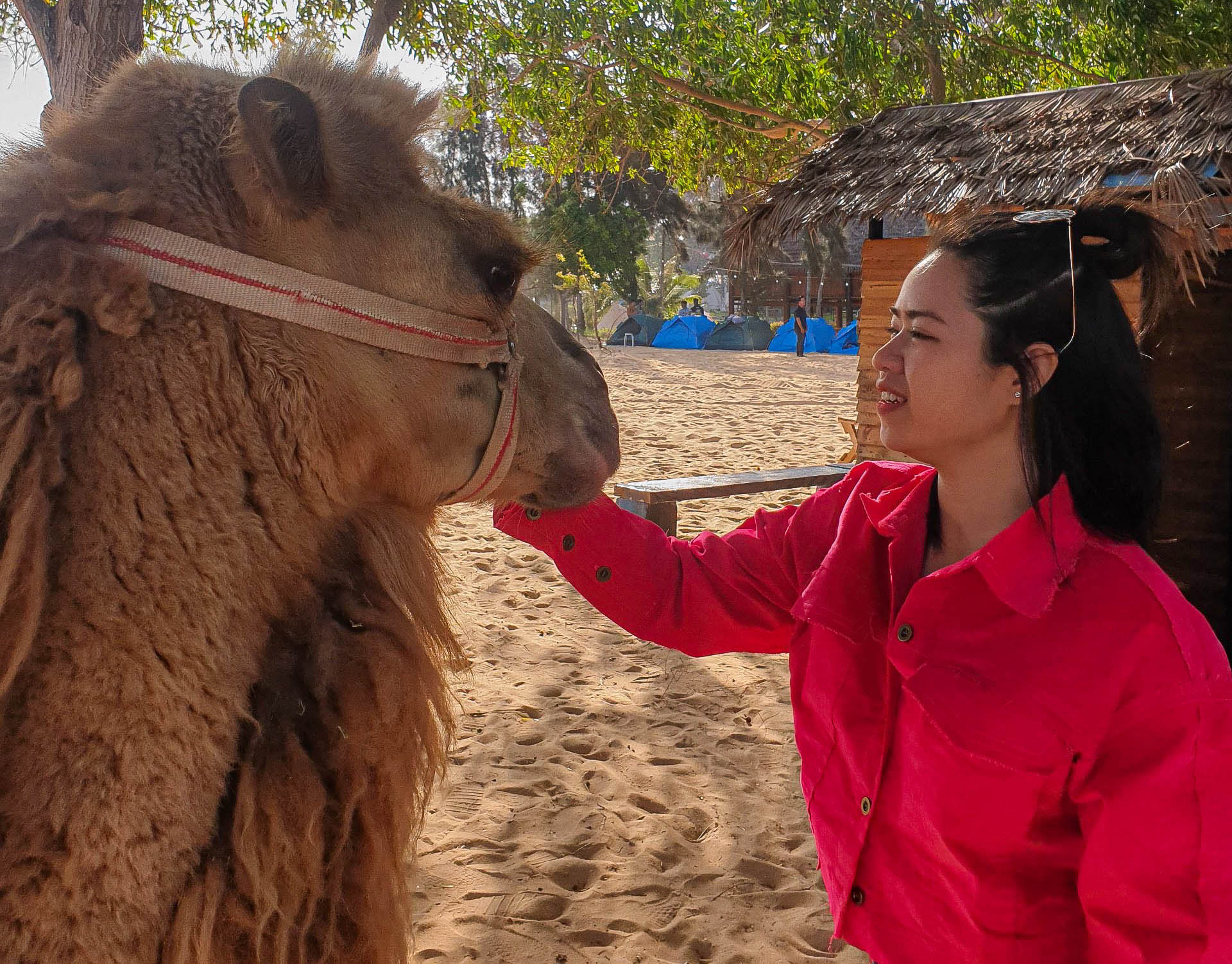 Hãy đặt chân trên Đồi Cát Trắng, thả hồn cảm nhận &quot;tiểu sa mạc Sahara&quot; của Việt Nam - Ảnh 8.