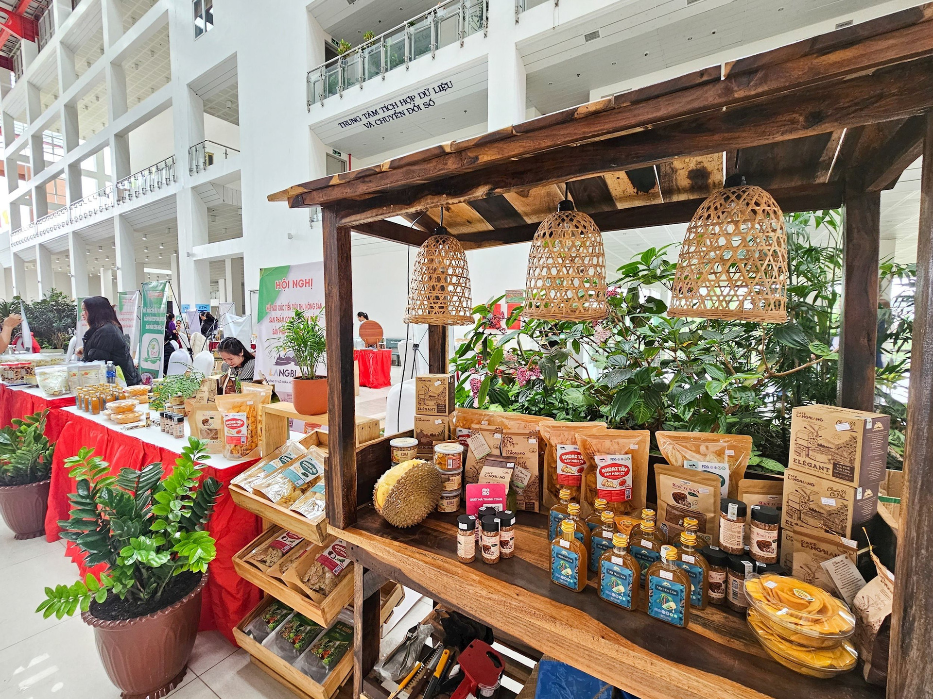 Lâm Đồng đưa rau củ quả, cà phê lên TikTok: Gần 2.000 orders, thu về xấp xỉ 11.000 USD trong ngày - Ảnh 2.