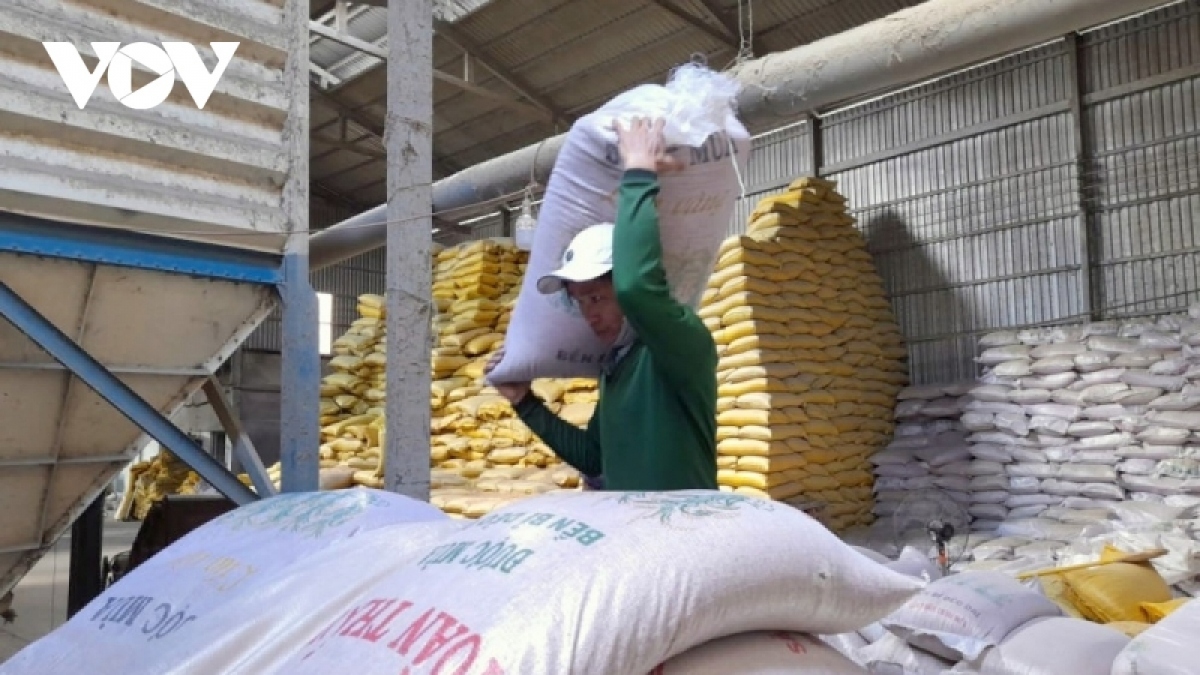 Giá gạo liên tục tăng, doanh nghiệp và đại lý chỉ dám &quot;ôm&quot; cầm chừng - Ảnh 2.
