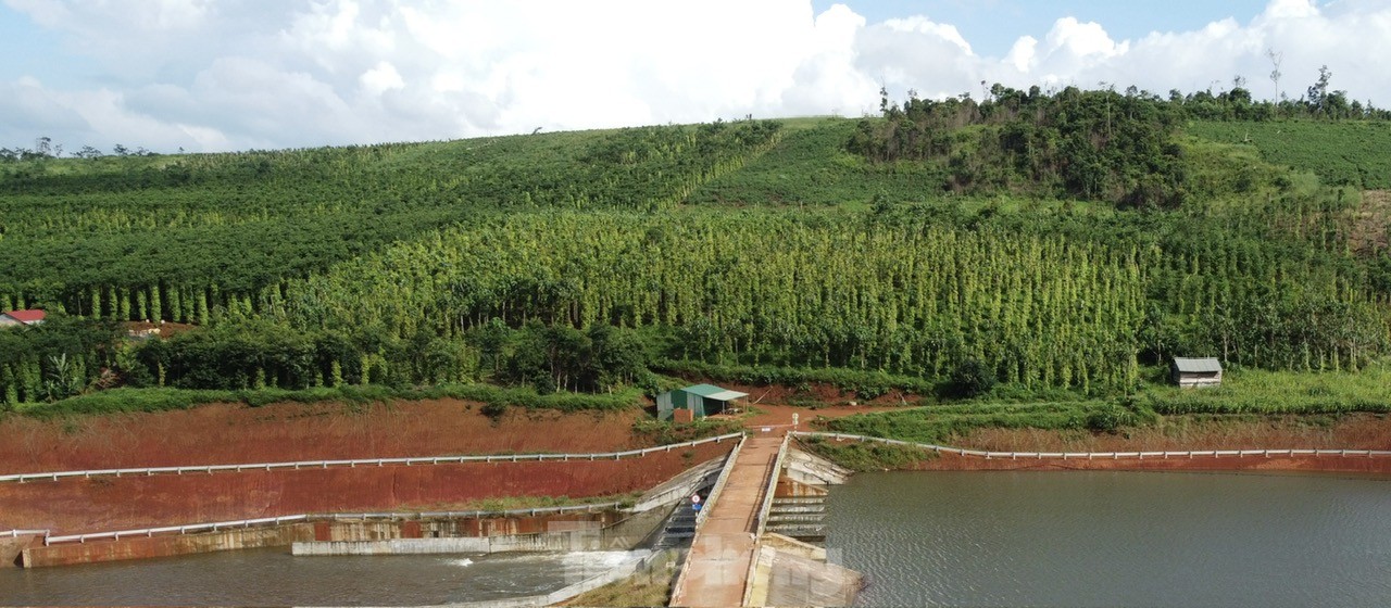 Nguy cơ vỡ hồ chứa nước gần 138 tỷ mới hoàn thành ở Đắk Nông - Ảnh 6.