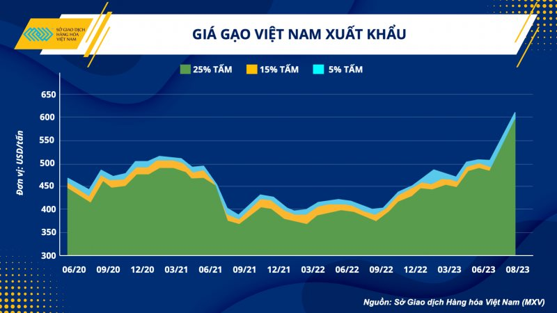 Cả thập kỷ buôn gạo thua lỗ ròng rã, vừa có chút lãi trở lại, cổ phiếu Vinafood 2 đã tăng “bốc đầu” 300% chỉ trong 2 tuần - Ảnh 3.