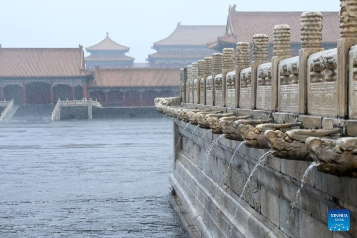 Tử Cấm Thành 'miễn nhiễm' với lũ lụt lịch sử tại Trung Quốc - Ảnh 2.