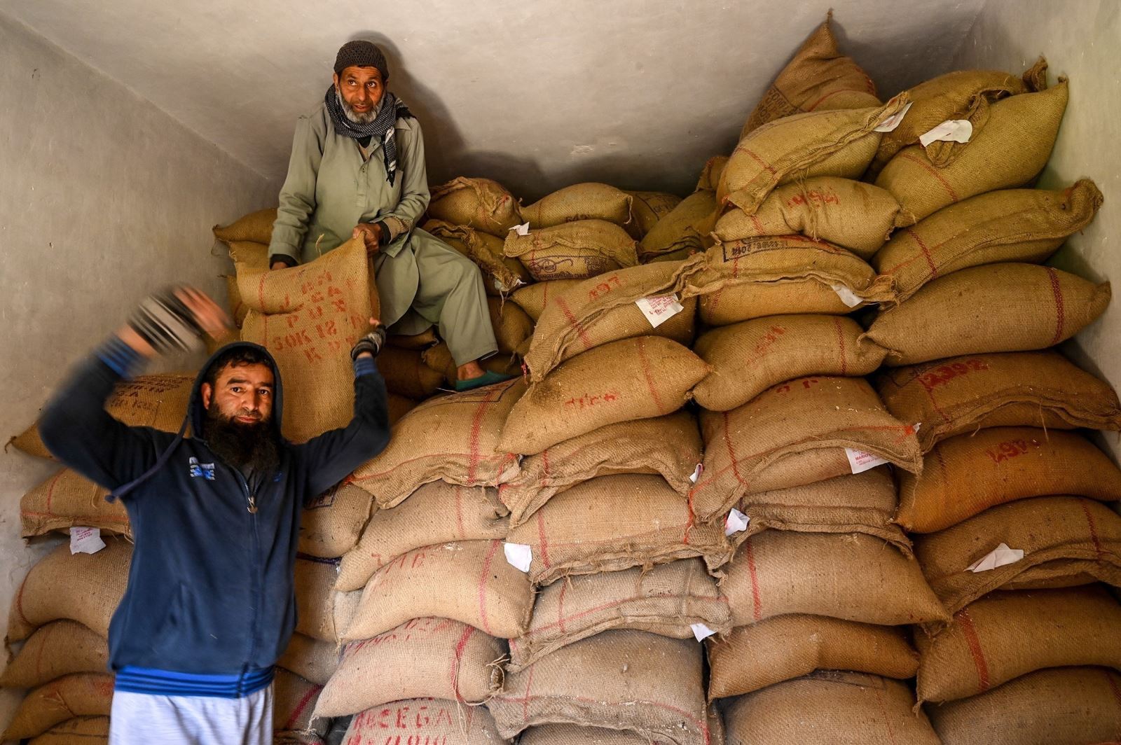Lệnh cấm xuất khẩu gạo và những tác động tới an ninh lương thực toàn cầu - Ảnh 2.