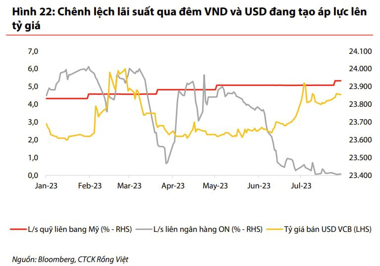 Vì sao tỷ giá vẫn ổn định dù NHNN liên tục giảm lãi suất điều hành - Ảnh 1.