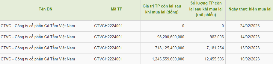 Cá tầm Việt Nam của đại gia Lê Anh Đức âm 51 tỷ đồng vốn chủ sở hữu sau khi mua lại hơn nghìn tỷ trái phiếu trước hạn - Ảnh 4.