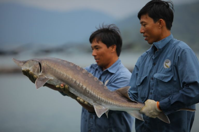 Cá tầm Việt Nam của đại gia Lê Anh Đức âm 51 tỷ đồng vốn chủ sở hữu sau khi mua lại hơn nghìn tỷ trái phiếu trước hạn - Ảnh 1.