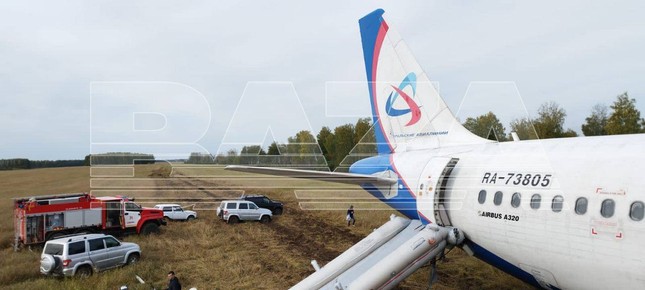 Nga: Máy bay chở khách hạ cánh khẩn cấp giữa cánh đồng - Ảnh 6.
