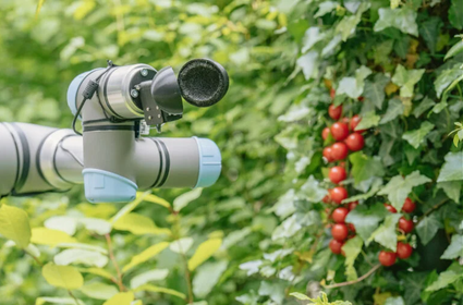 ChatGPT được sử dụng để tạo ra robot thu hoạch nông sản - Ảnh 2.