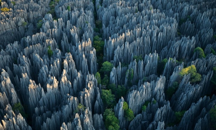 Chiêm ngưỡng rừng đá như một thảm chông khổng lồ, hiểm trở bậc nhất thế giới - Ảnh 2.