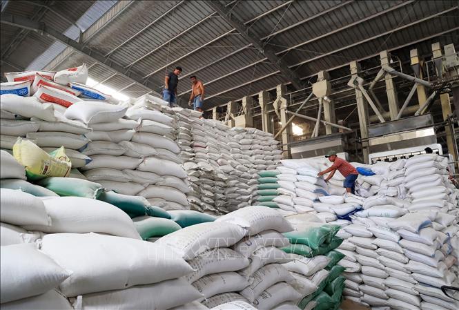 Thủ tướng yêu cầu đảm bảo vững chắc an ninh lương thực quốc gia, thúc đẩy sản xuất, xuất khẩu gạo bền vững - Ảnh 1.