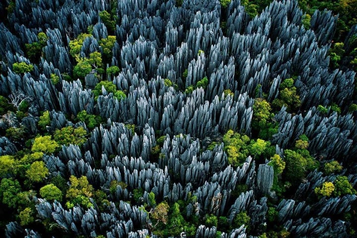 Chiêm ngưỡng rừng đá như một thảm chông khổng lồ, hiểm trở bậc nhất thế giới - Ảnh 1.