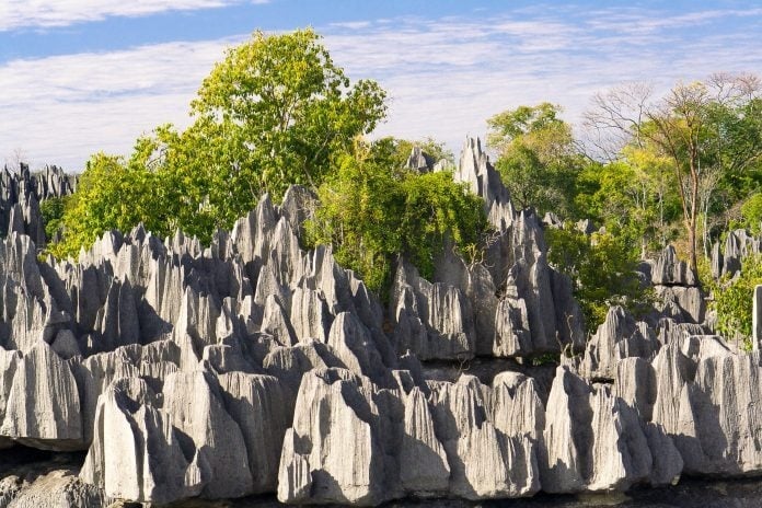 Chiêm ngưỡng rừng đá như một thảm chông khổng lồ, hiểm trở bậc nhất thế giới - Ảnh 4.