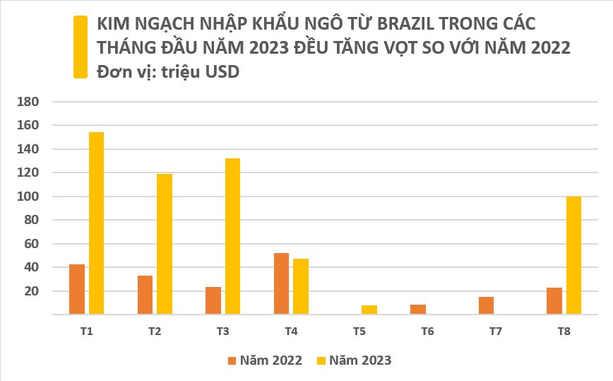 Một loại hạt giá rẻ từ Brazil đang đổ bộ vào Việt Nam: Nhập khẩu tăng gấp 4 lần trong 8 tháng đầu năm, Việt Nam nhập khẩu thuộc top đầu thế giới - Ảnh 3.