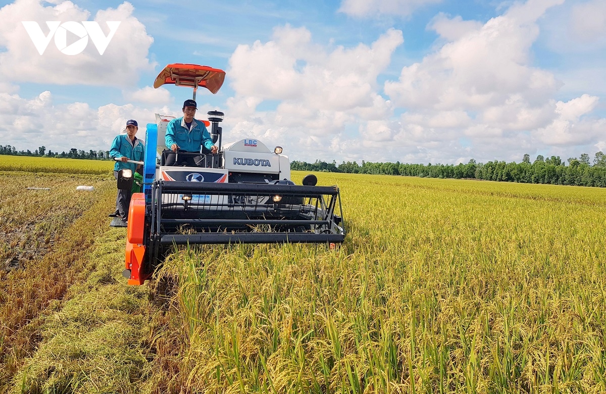 Dự báo xuất khẩu gạo của Việt Nam đạt kỷ lục mới cả sản lượng, giá trị xuất khẩu - Ảnh 1.