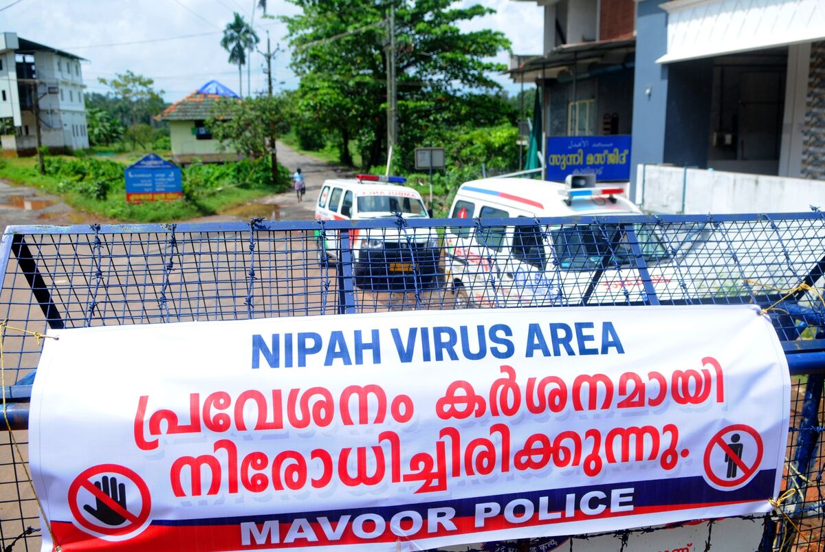 Ấn Độ trong cuộc đua ngăn chặn dịch bệnh do virus Nipah gây thương tổn não - Ảnh 1.