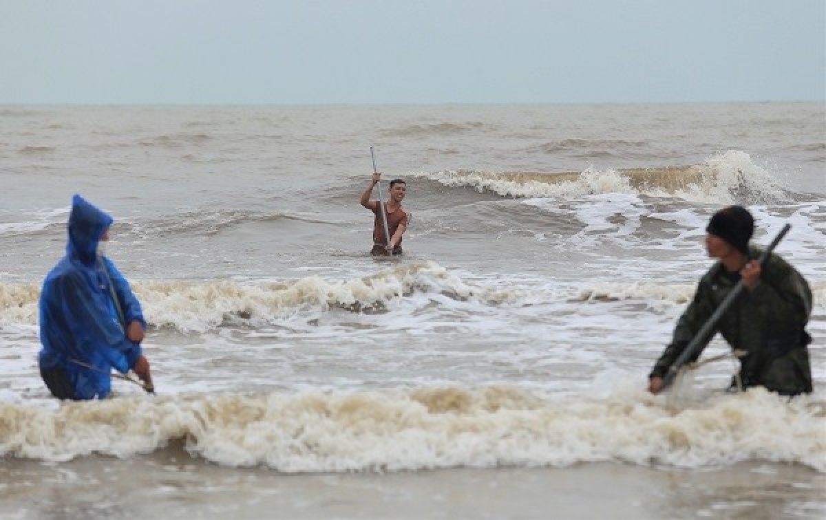 Hàng tấn sò tím dạt vào bờ biển Hà Tĩnh, người dân đổ xô nhặt &quot;lộc trời&quot; - Ảnh 5.