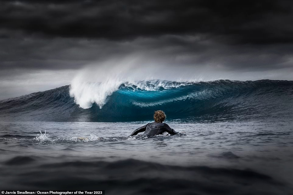 Ngắm những bức ảnh dưới nước đẹp nhất năm 2023: Đánh bại hàng ngàn tác phẩm để thắng giải nhiếp ảnh đại dương vi diệu - Ảnh 4.