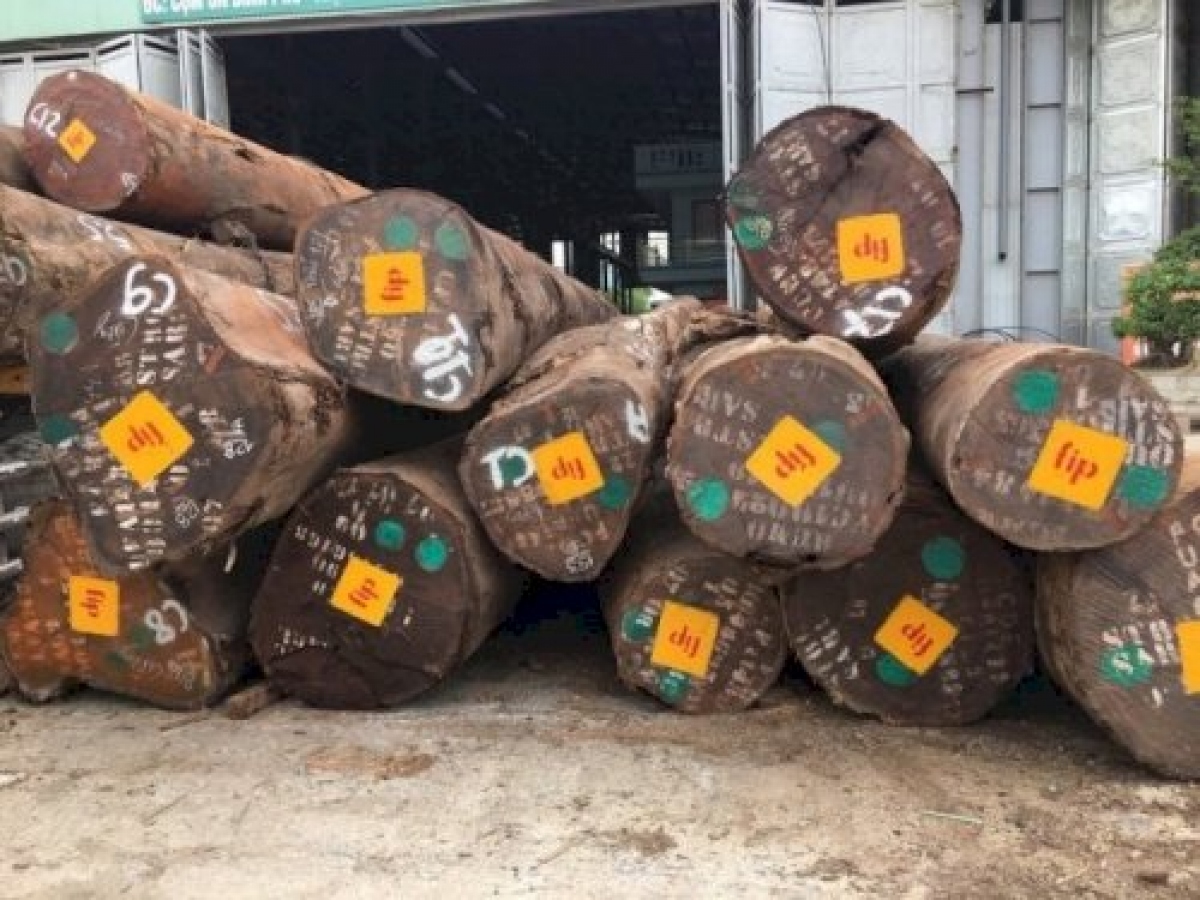 Công bố danh mục các loại gỗ đã nhập khẩu vào Việt Nam - Ảnh 1.