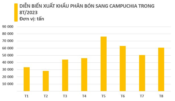 Campuchia đang mạnh tay 'gom' mặt hàng này của Việt Nam: Giá giảm xuống mức kỷ lục, là thứ đang gây sốt trên toàn cầu - Ảnh 2.