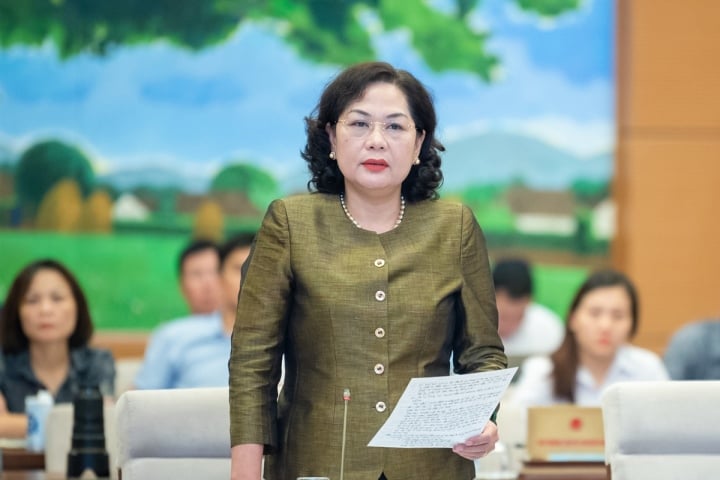 Phó Thủ tướng Trần Lưu Quang: Chính phủ sẽ nới lỏng tiếp cận vốn tín dụng - Ảnh 2.