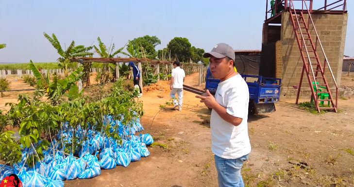 Đi săn tìm giống cây về trồng, team Quang Linh mừng rơn gặp loại cây ăn trái quen thuộc ở Việt Nam - Ảnh 4.