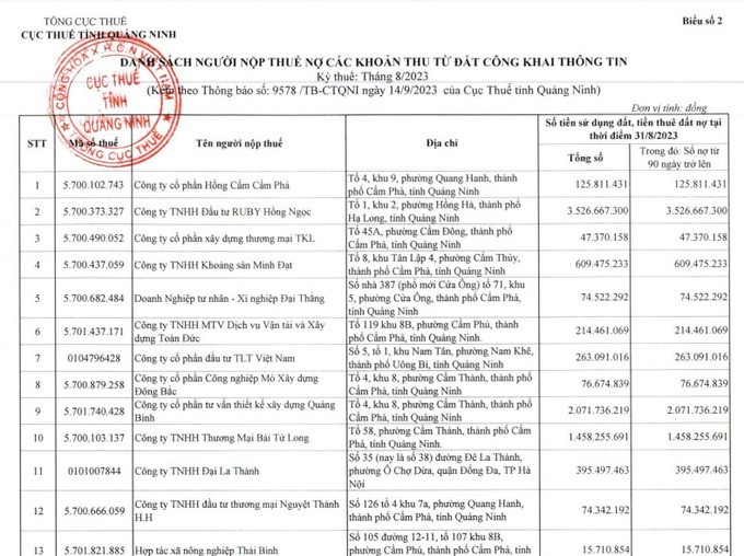 Những doanh nghiệp &quot;đội sổ&quot; nợ thuế tại tỉnh Quảng Ninh - Ảnh 3.