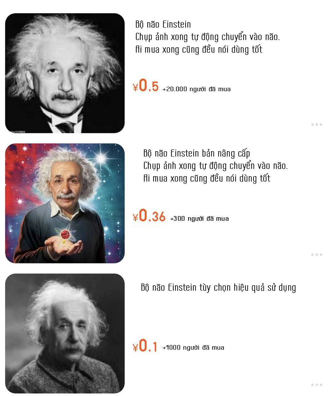 &quot;Bộ não Einstein&quot; là gì mà giới trẻ xứ Trung đổ xô mua giá rẻ bèo, có nơi bán đến hơn 20.000 bản? - Ảnh 1.