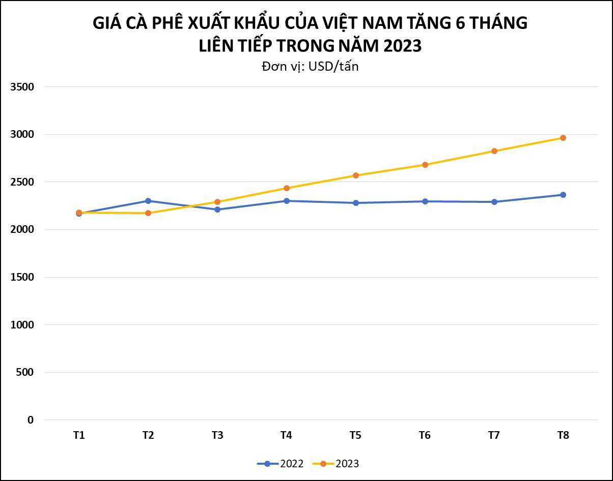 Giá xuất khẩu tăng vùn vụt 6 tháng liên tiếp, một loại hạt của Việt Nam tràn ngập thị trường quốc tế mang về gần 3 tỷ USD, giữ vững vị trí nhà xuất khẩu thứ 2 thế giới - Ảnh 1.