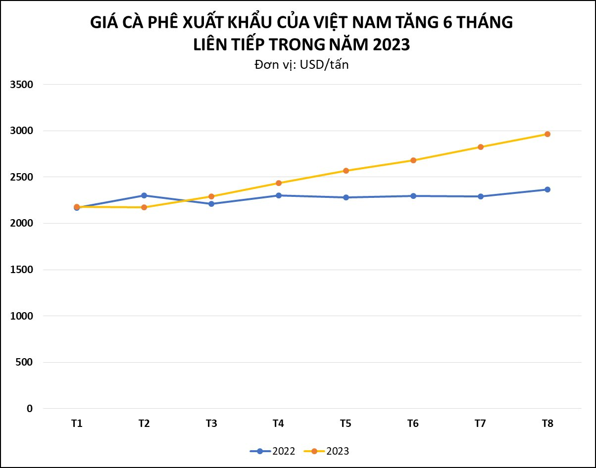 Export prices skyrocketed for 6 consecutive months, a Vietnamese nut flooded the international market bringing in nearly 3 billion USD, maintaining its position as the world's second exporter - Photo 1.