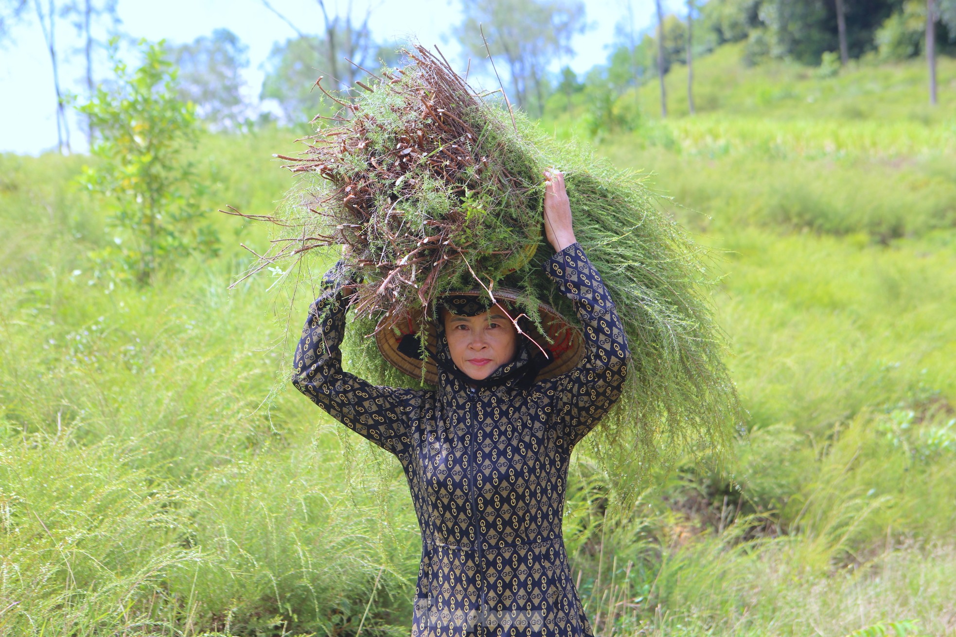 Nông dân Hà Tĩnh kiếm bộn tiền từ cây mọc hoang trên rừng - Ảnh 15.