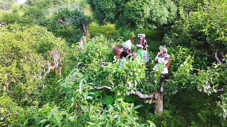 &quot;Cửa ngõ phên dậu&quot; vùng Tây Bắc sẽ có 26 đô thị, phát triển thêm 4 khu công nghiệp, 16 cụm công nghiệp - Ảnh 1.