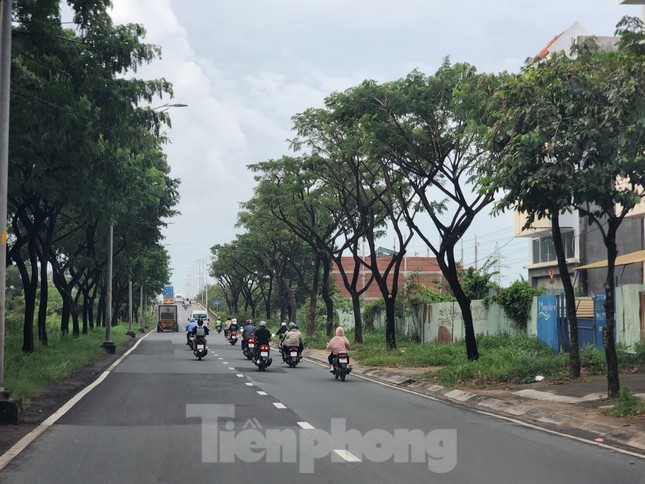 Tận thấy loạt dự án tạo quỹ đất dọc đường Nguyễn Hữu Thọ dính sai phạm - Ảnh 18.