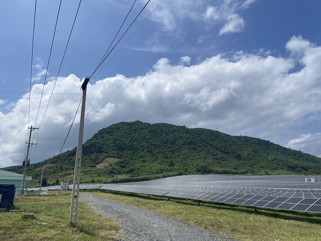 Dự án điện mặt trời nghìn tỷ 'dính' đất rừng đi vào hoạt động - Ảnh 2.