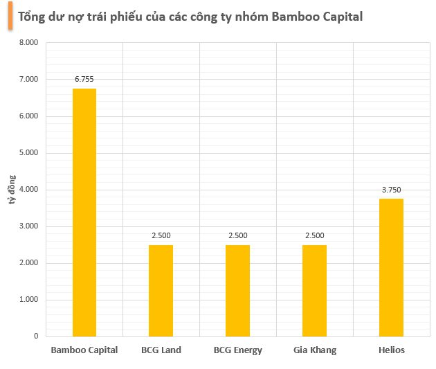 Ba công ty liên quan đến Bamboo Capital (BCG) gia hạn 8.000 tỷ đồng trái phiếu, chiếm gần một nửa dư nợ trái phiếu của cả nhóm - Ảnh 4.