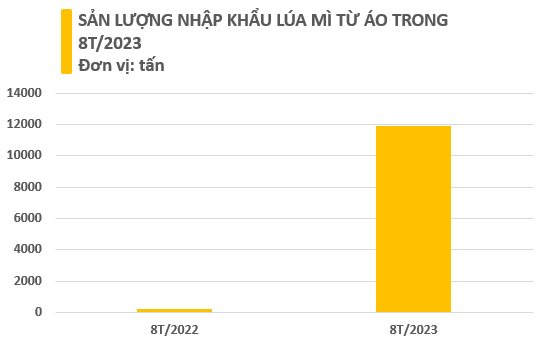 Giá tốt, loại nông sản này từ châu Âu đang dồn dập đổ bộ Việt Nam: Nhập khẩu tăng hơn 4.000%, Việt Nam mua nhiều nhất Đông Nam Á - Ảnh 2.