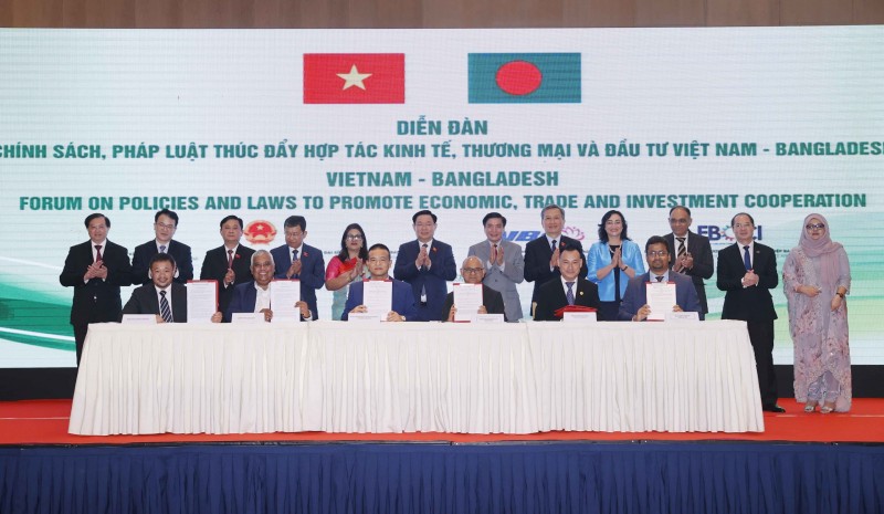 Thúc đẩy hợp tác kinh tế, thương mại và đầu tư Việt Nam - Bangladesh - Ảnh 3.