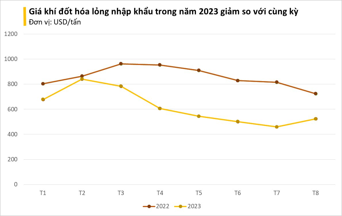 Giá rẻ bất ngờ, một mặt hàng từ Ả Rập Xê Út đang đổ bộ vào Việt Nam hơn 200% trong 8 tháng đầu năm - Ảnh 1.