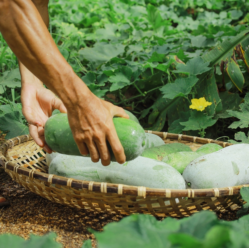 Nơi đặc biệt bên bờ Vịnh Ninh Vân: Mỗi trải nghiệm là một hành động đáp đền Mẹ Thiên Nhiên - Ảnh 5.