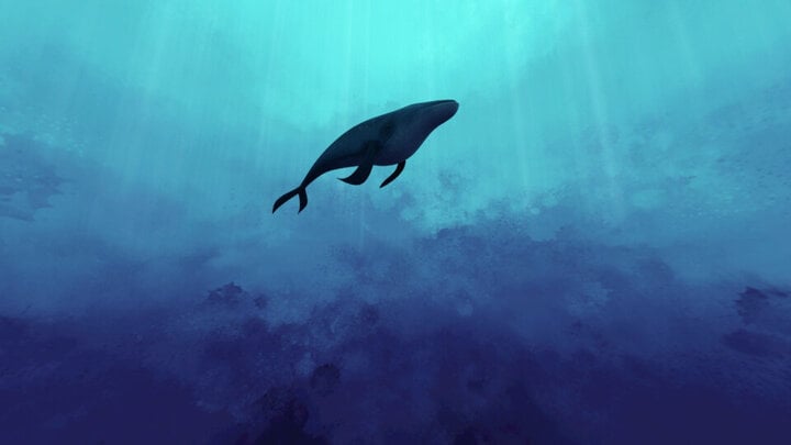 Huyền thoại về 52 Blue: Chú cá voi đơn độc nhất hành tinh - Ảnh 3.