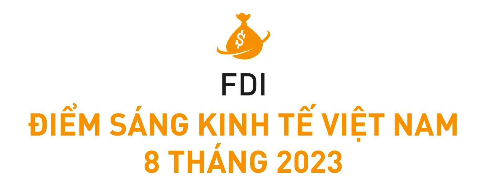 Một năm đón hàng loạt &quot;đại gia&quot; Mỹ, Trung Quốc, Hàn Quốc... chuyên gia nói gì về triển vọng FDI của Việt Nam trong thời gian tới? - Ảnh 1.