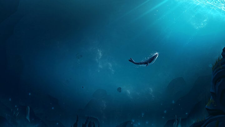 Huyền thoại về 52 Blue: Chú cá voi đơn độc nhất hành tinh - Ảnh 2.
