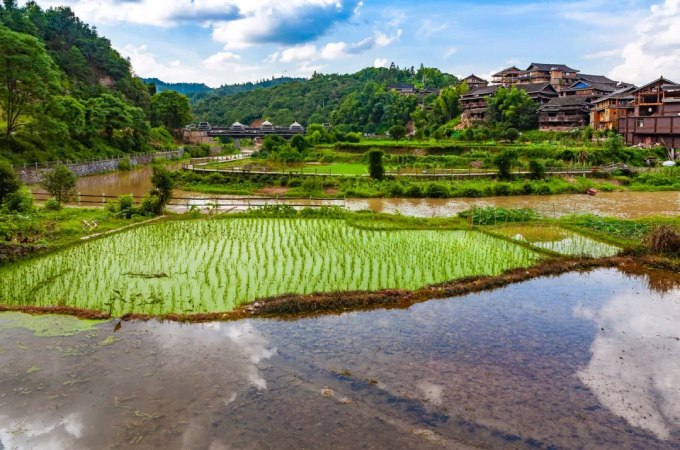 Chuyện &quot;lạ đời&quot; ở Liễu Châu: Đi khắp thành phố chỉ bằng 10 nghìn đồng, khắp nơi đậm mùi đặc trưng của món bún ốc ai ăn cũng &quot;nghiện&quot; - Ảnh 7.